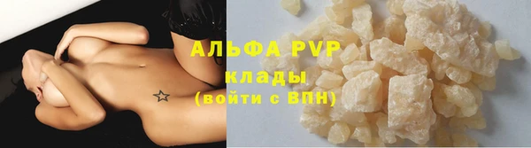 шишки Белокуриха