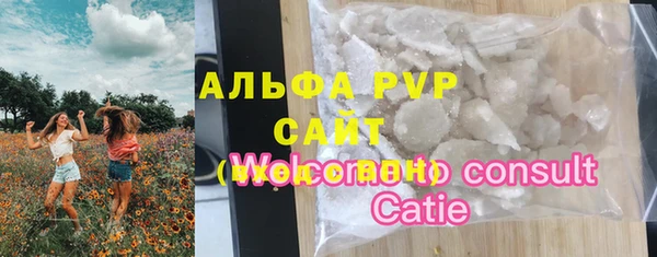 молекула духа Покров